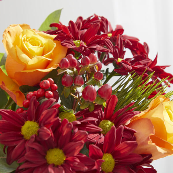 red roses