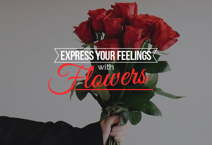 The Power of Flowers: Why You Should Show Your Love With Flowers?