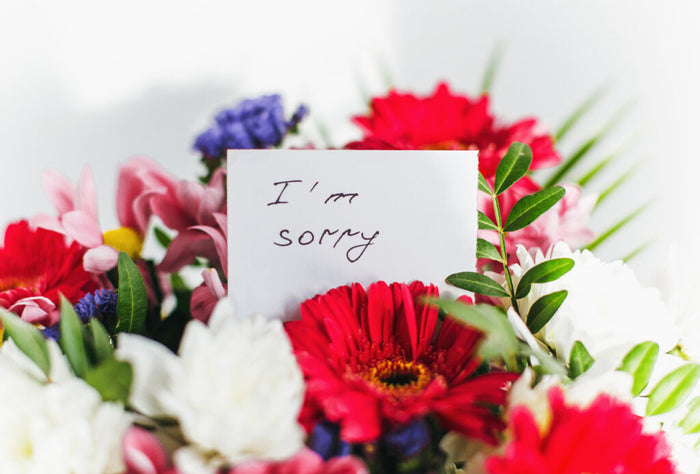 How To Choose Right Flower To Say "Sorry"?