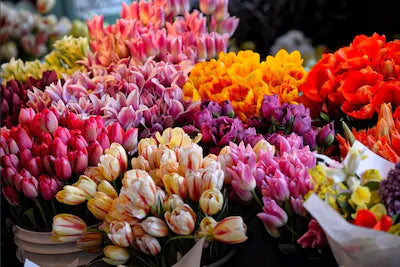 10 Beautiful Flowers to Ring In the New Year