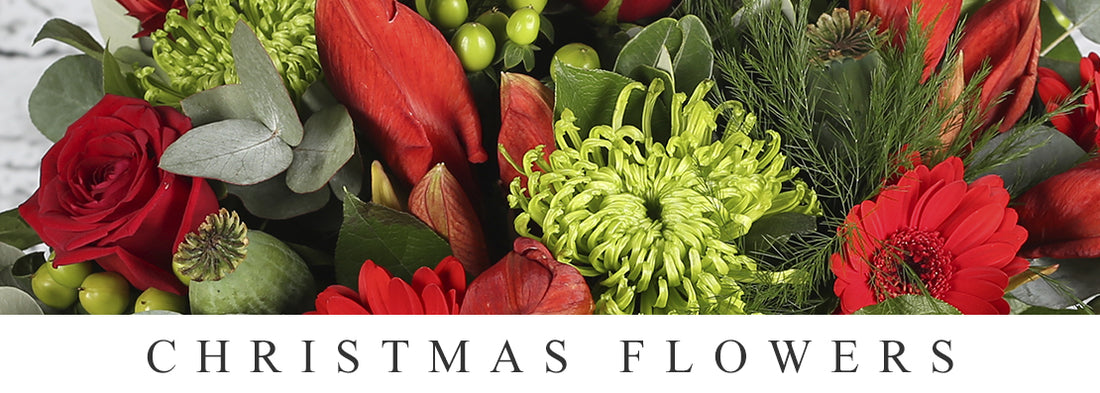 5 Best Christmas Flower Bouquets