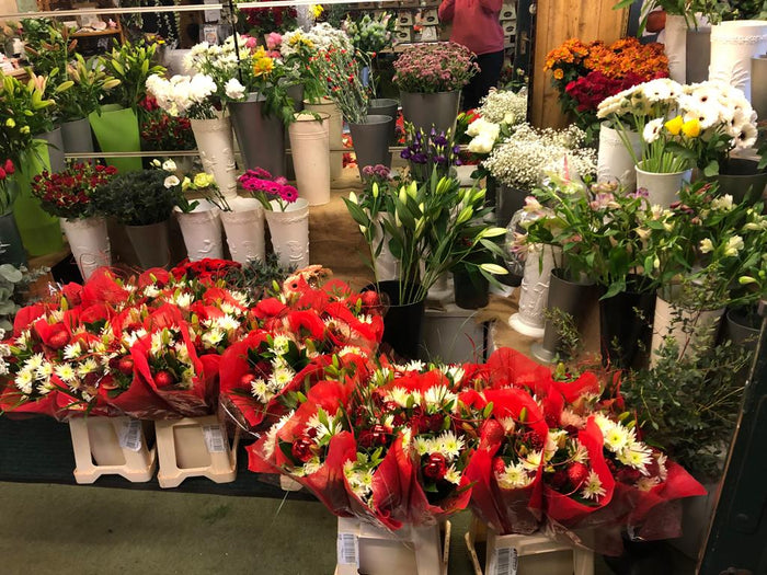 Where to Find Cheap Flower Delivery in Halifax?
