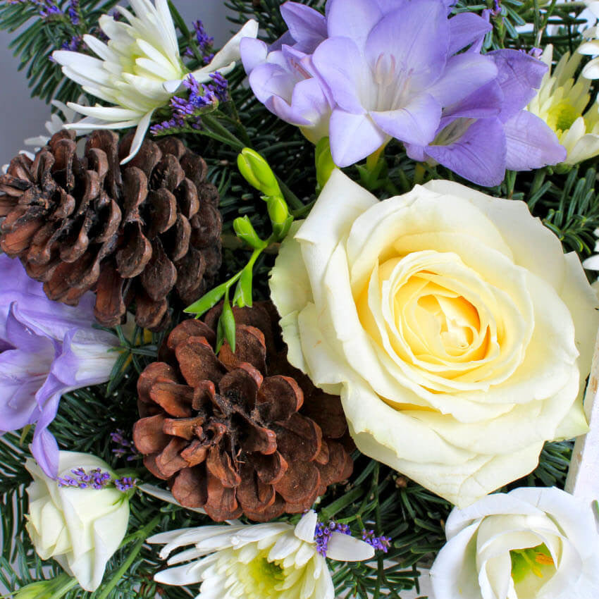 WINTER FROST BASKET