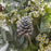 Yuletide Spirit Bouquet